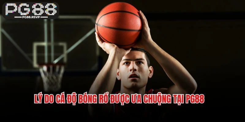 Lý do cá độ bóng rổ được ưa chuộng tại PG88