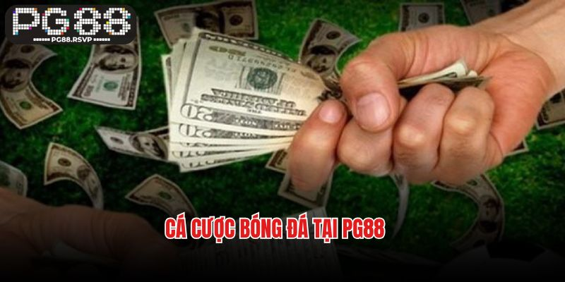 Cá Cược Bóng Đá PG88 - Sân Chơi An Toàn, Xanh Chín Nhất Châu Á